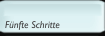 Fünfte Schritte